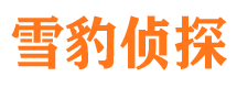 河东区出轨调查